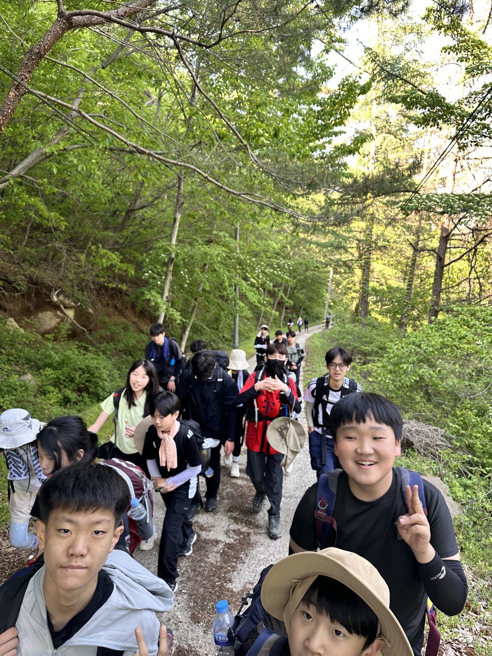사용자가 올린 이미지