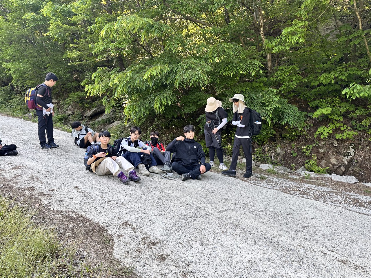 사용자가 올린 이미지