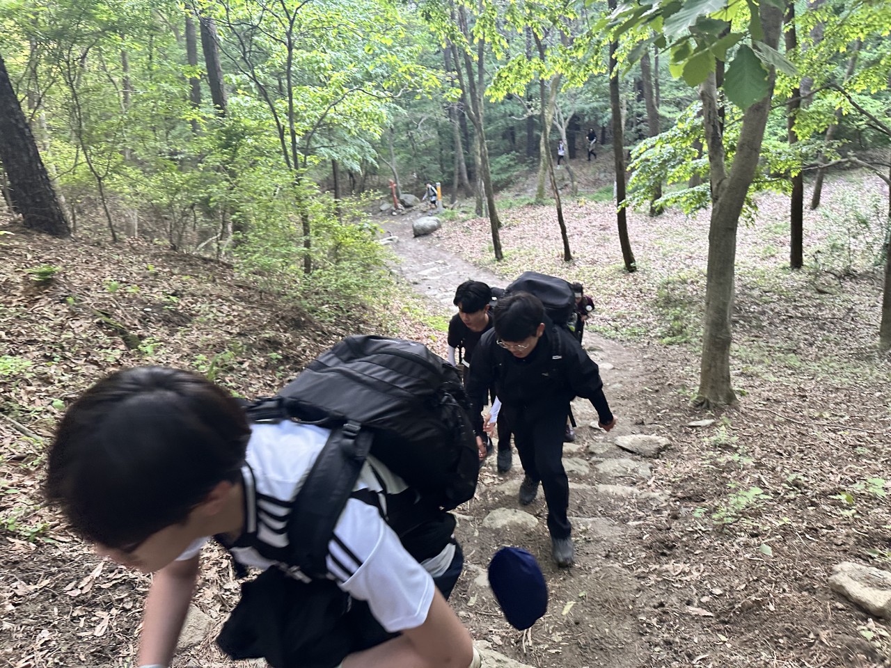 사용자가 올린 이미지