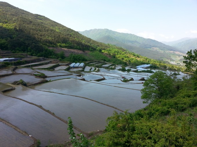 20150512_100458.jpg