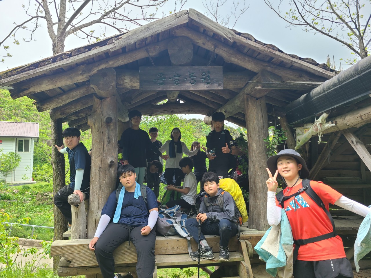 사용자가 올린 이미지