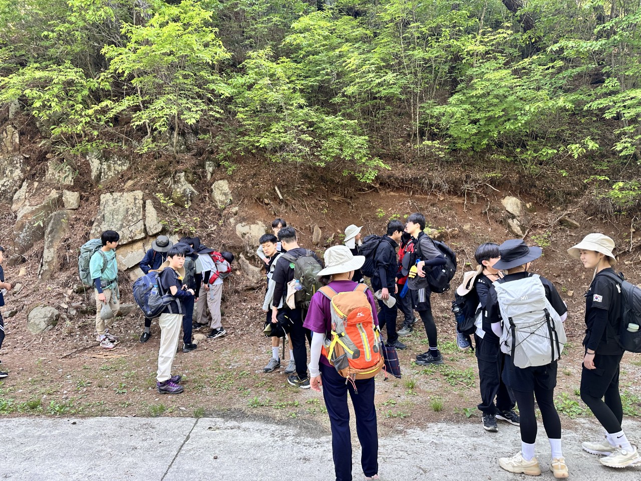 사용자가 올린 이미지