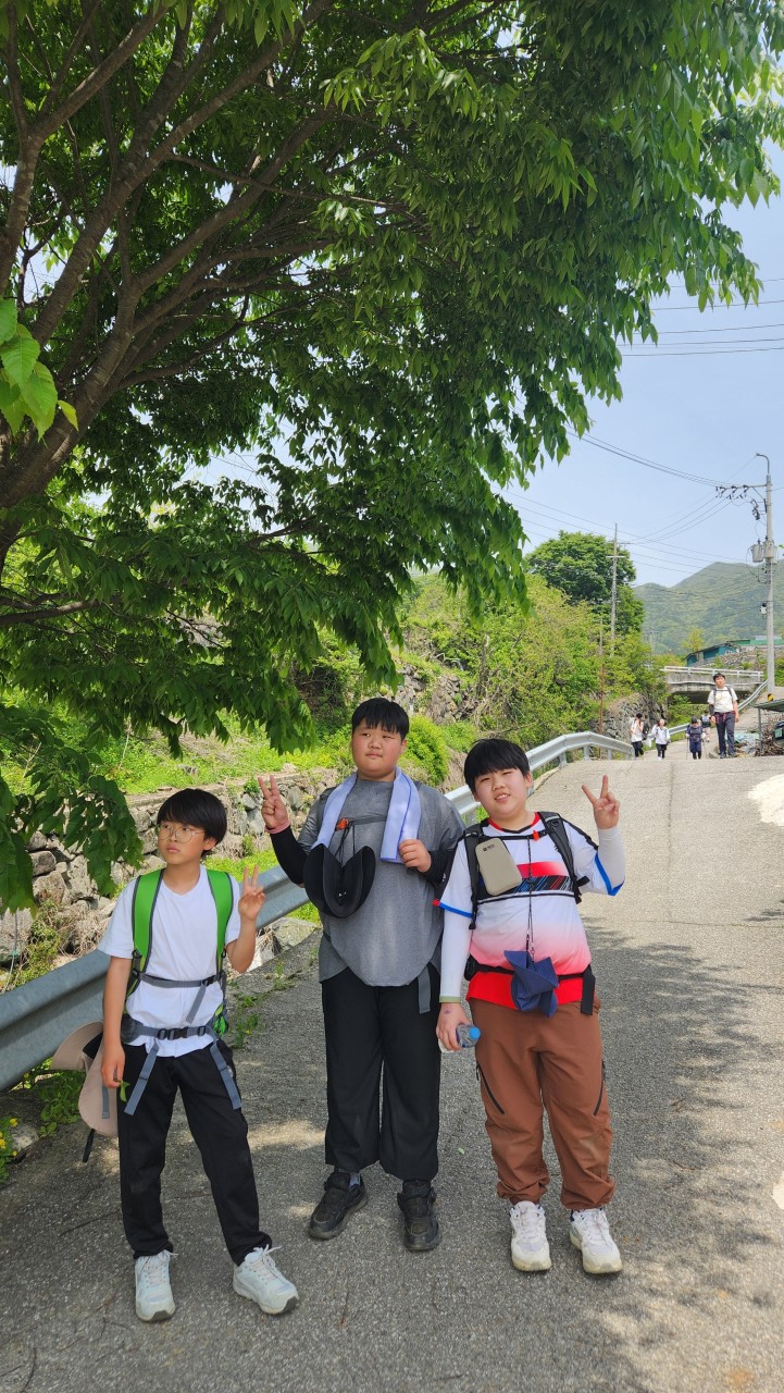 사용자가 올린 이미지