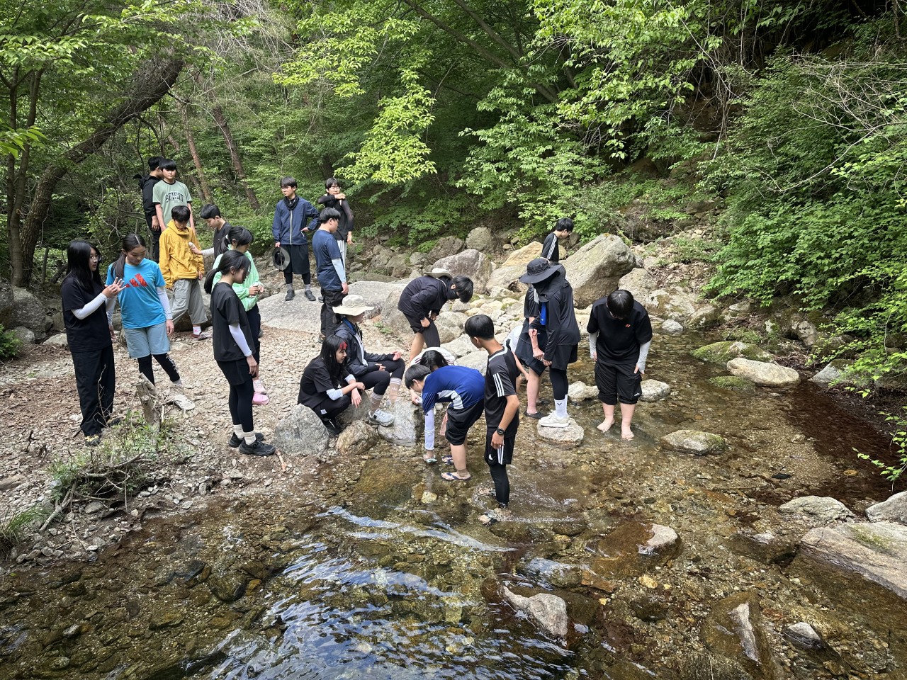 사용자가 올린 이미지