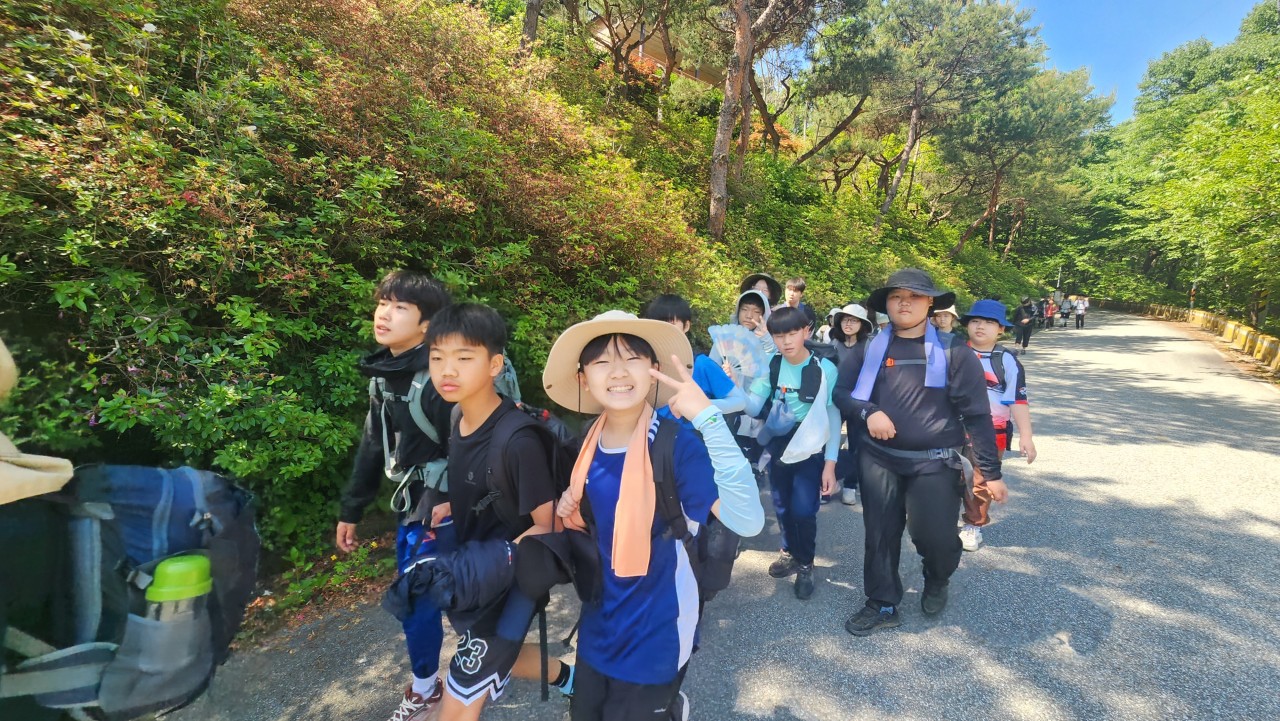 사용자가 올린 이미지