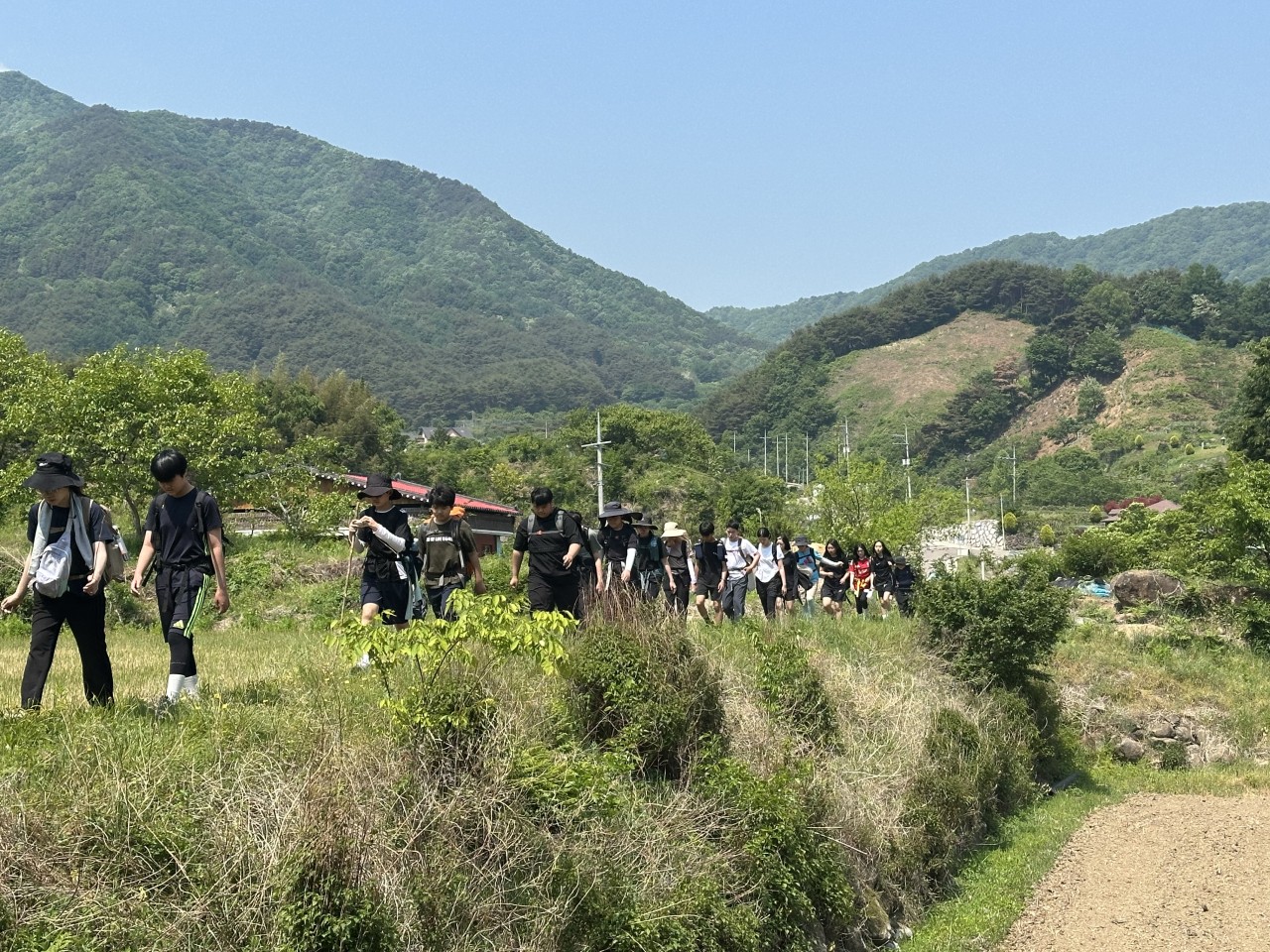 사용자가 올린 이미지