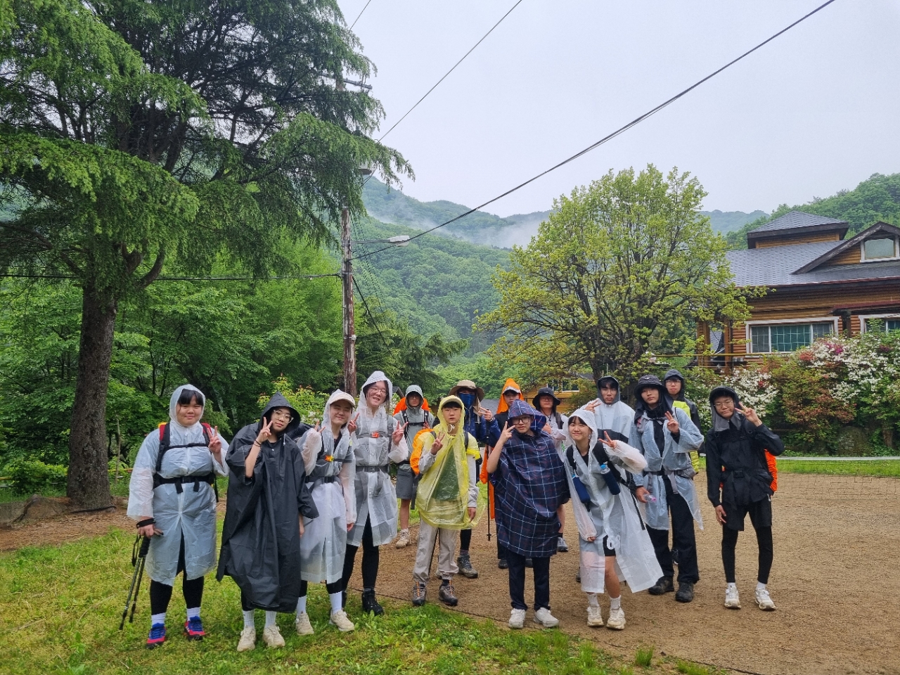 사용자가 올린 이미지