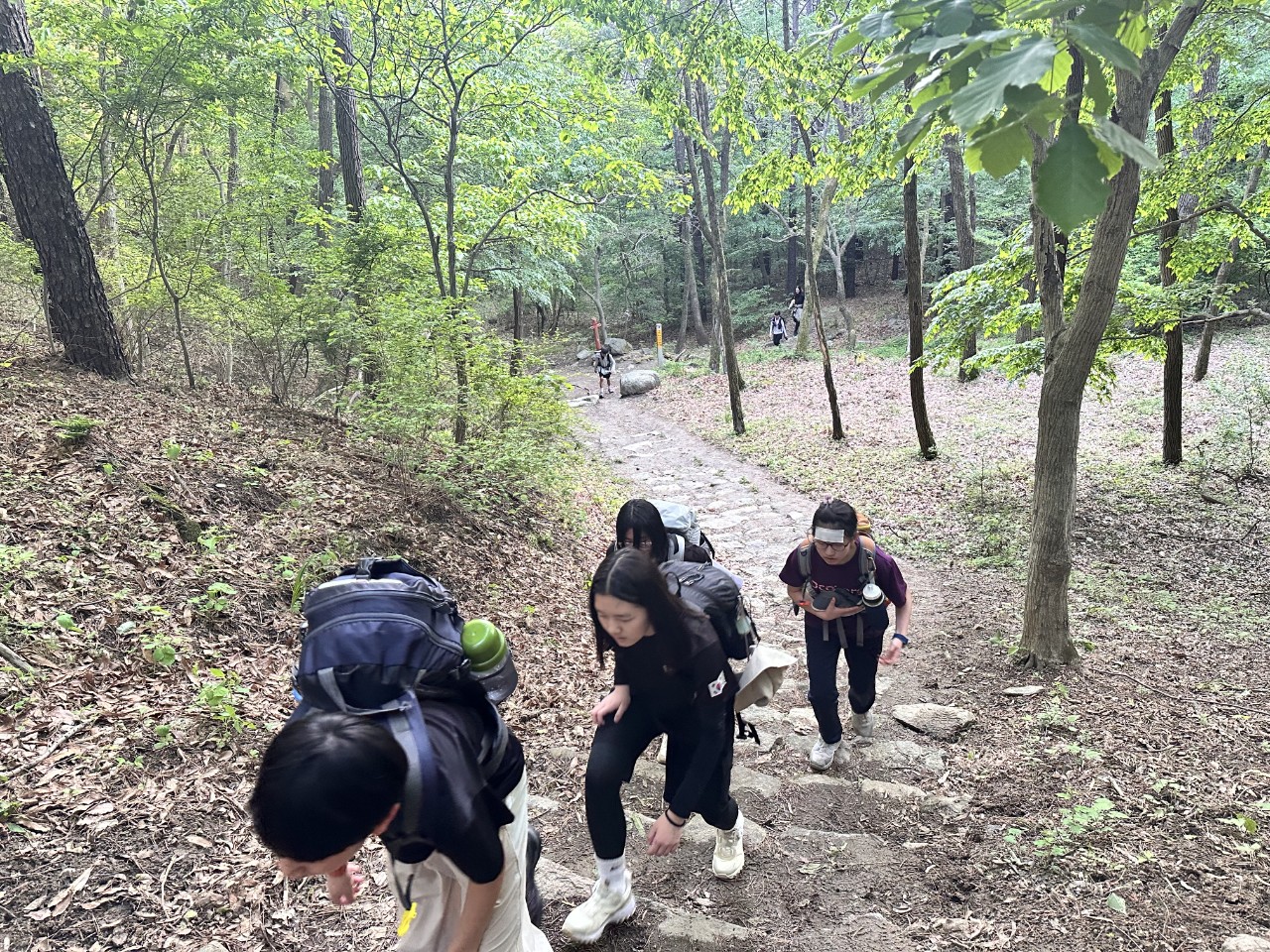 사용자가 올린 이미지