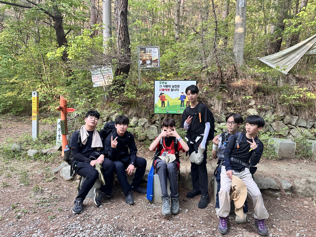 사용자가 올린 이미지