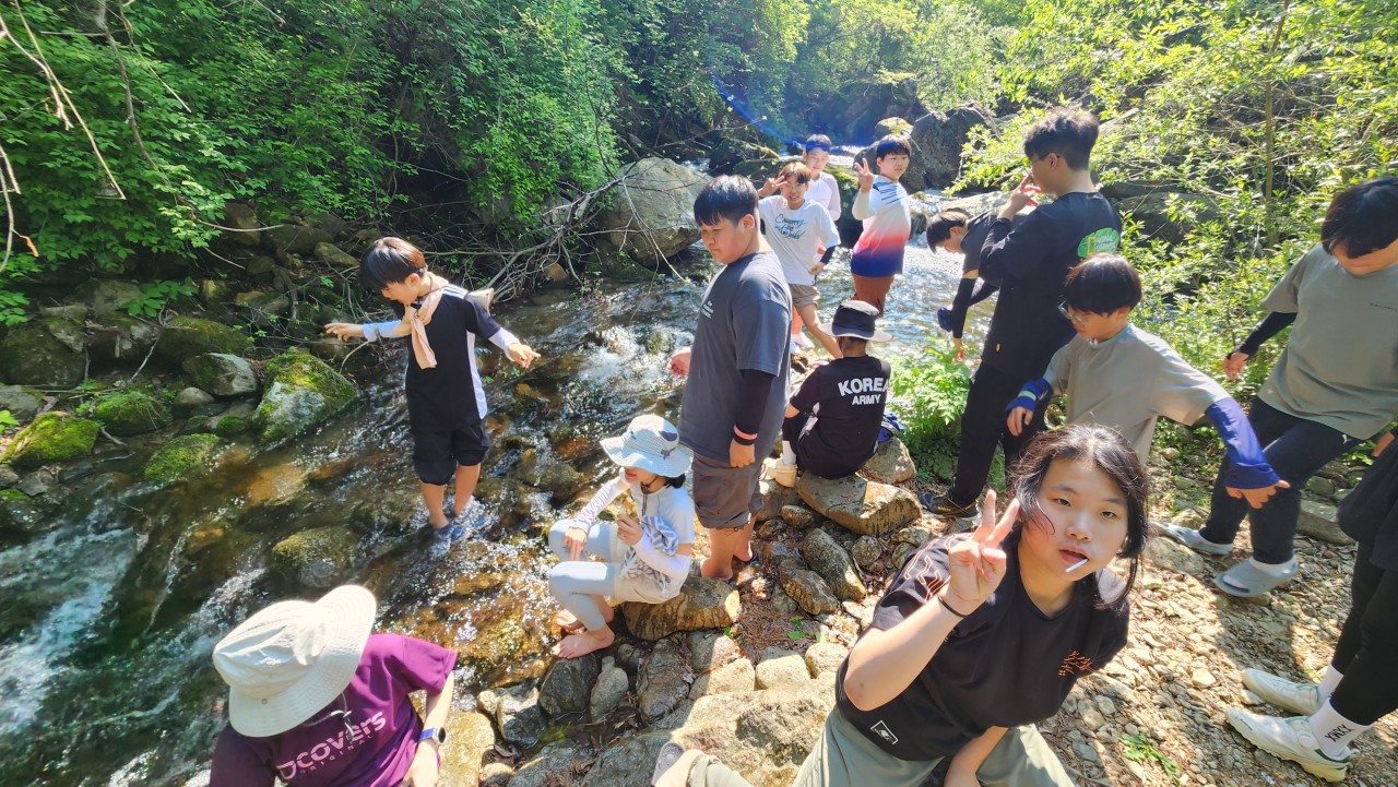 사용자가 올린 이미지