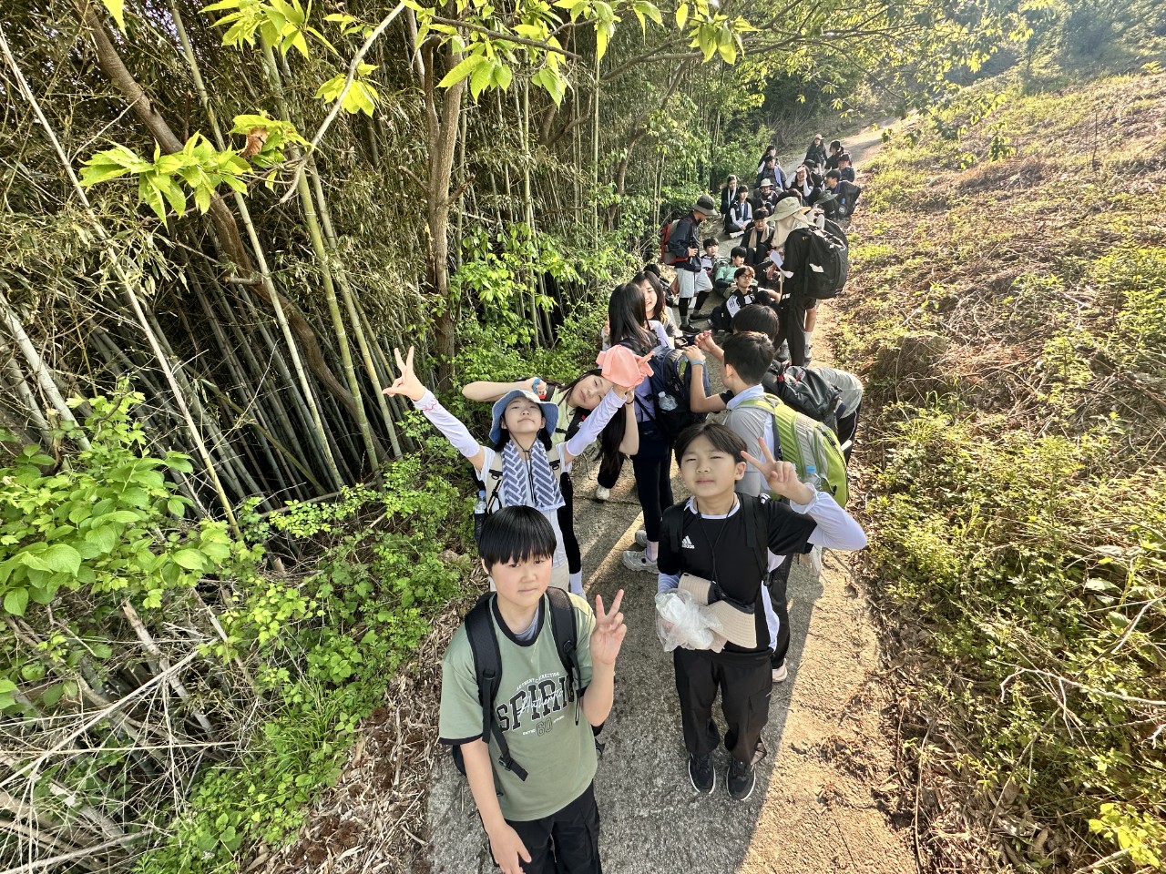 사용자가 올린 이미지