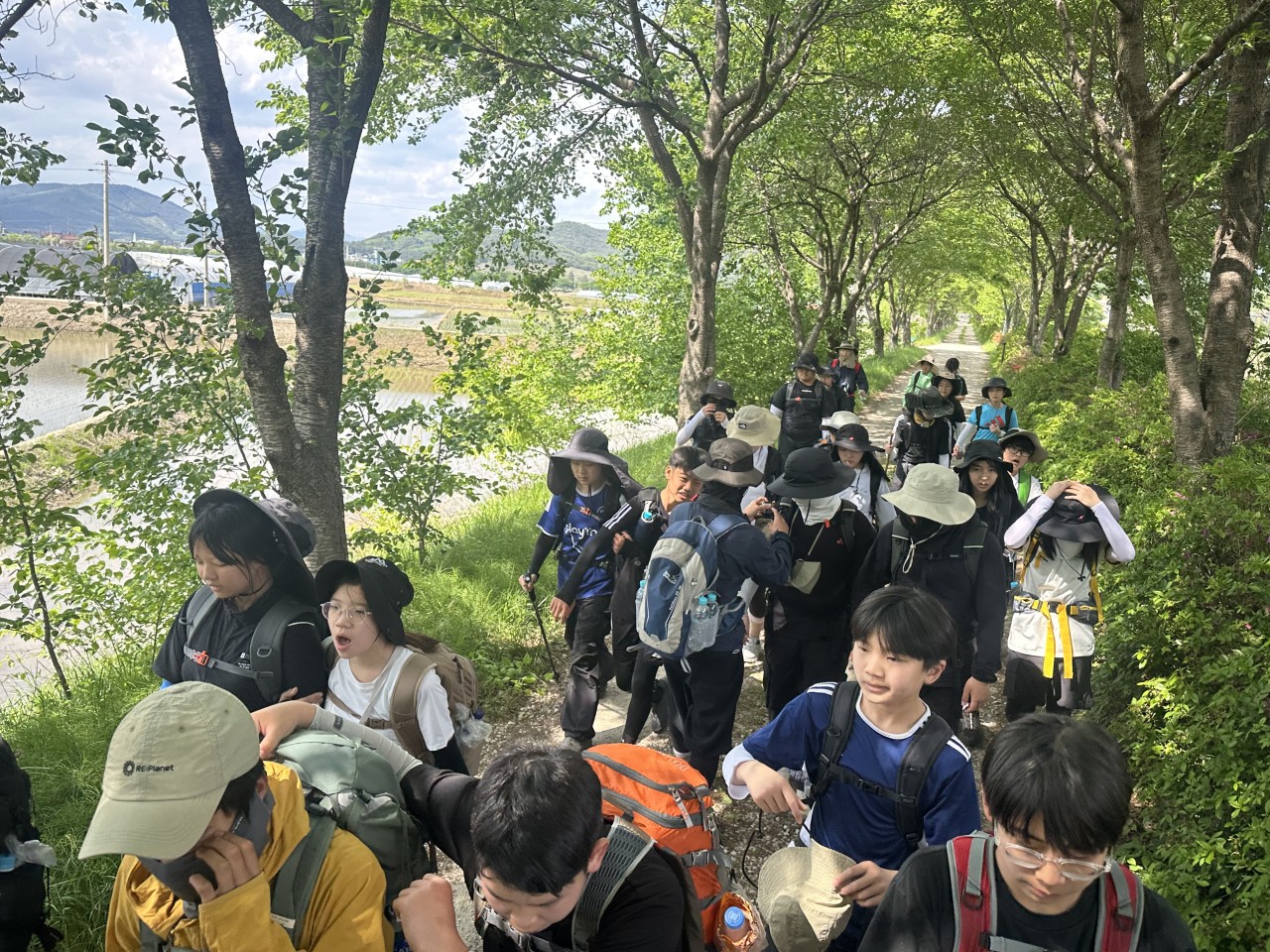 사용자가 올린 이미지