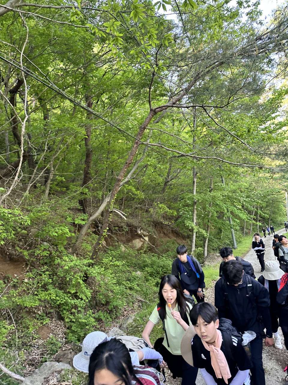 사용자가 올린 이미지