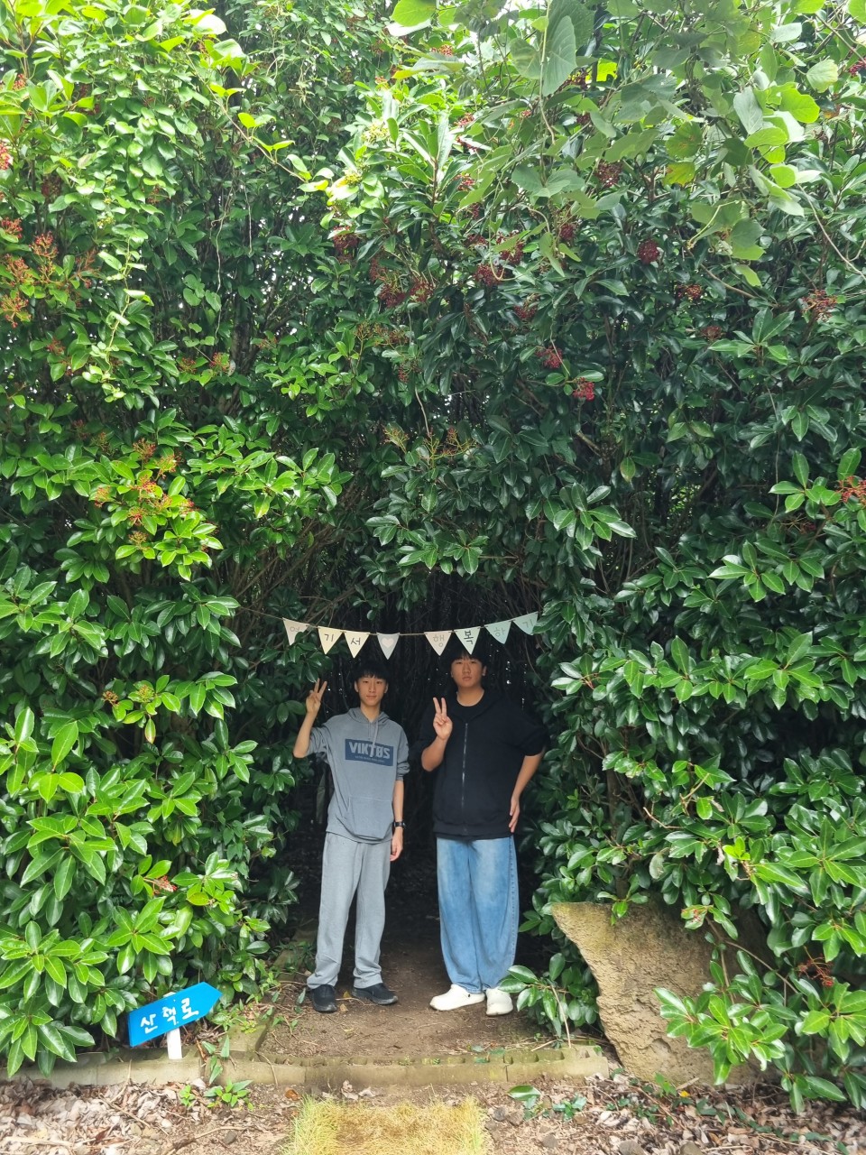 사용자가 올린 이미지