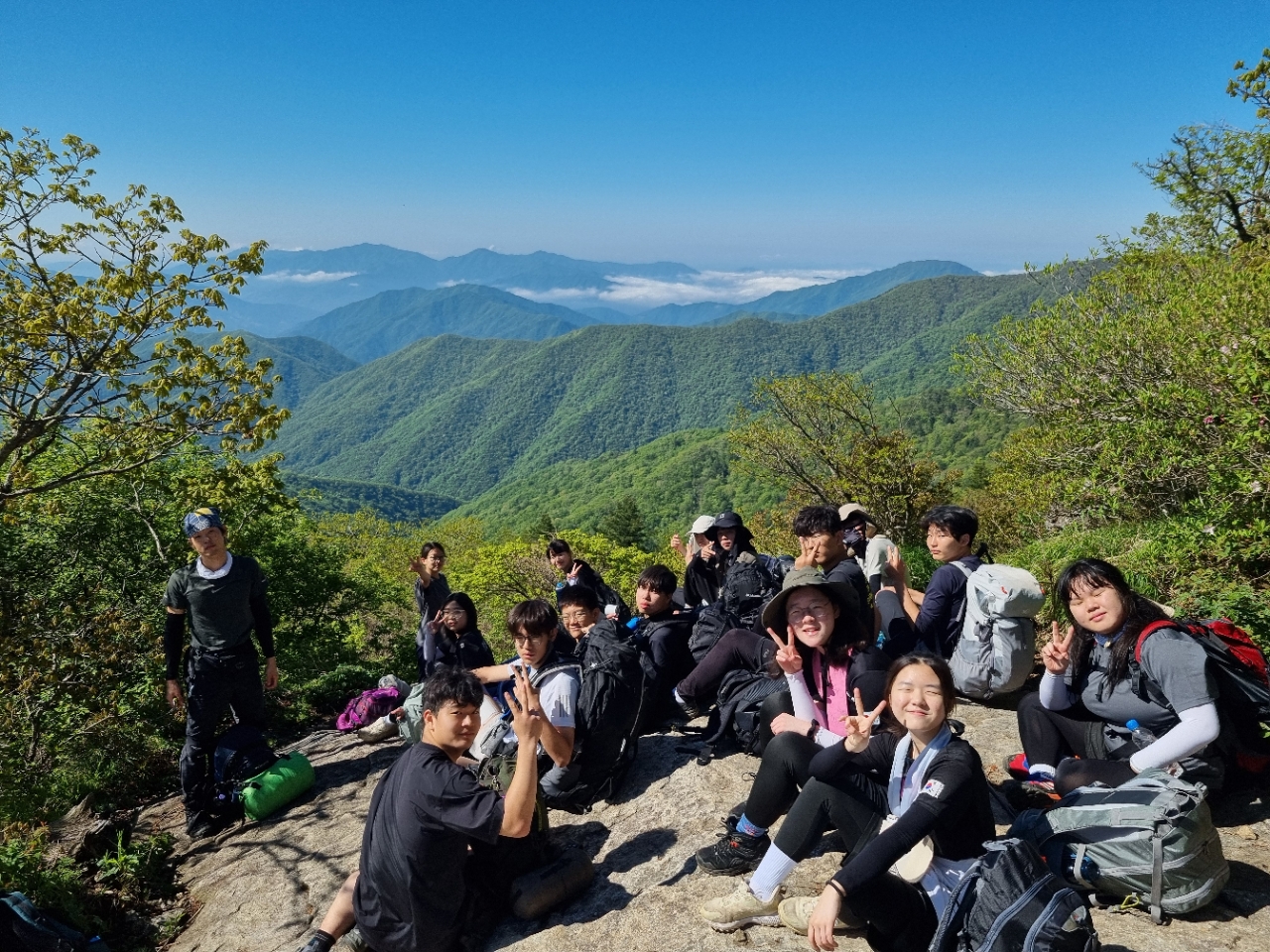 사용자가 올린 이미지