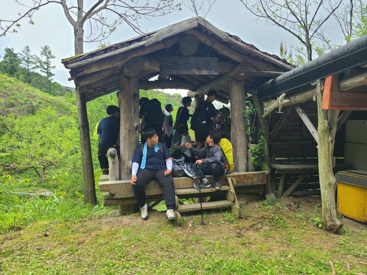 사용자가 올린 이미지
