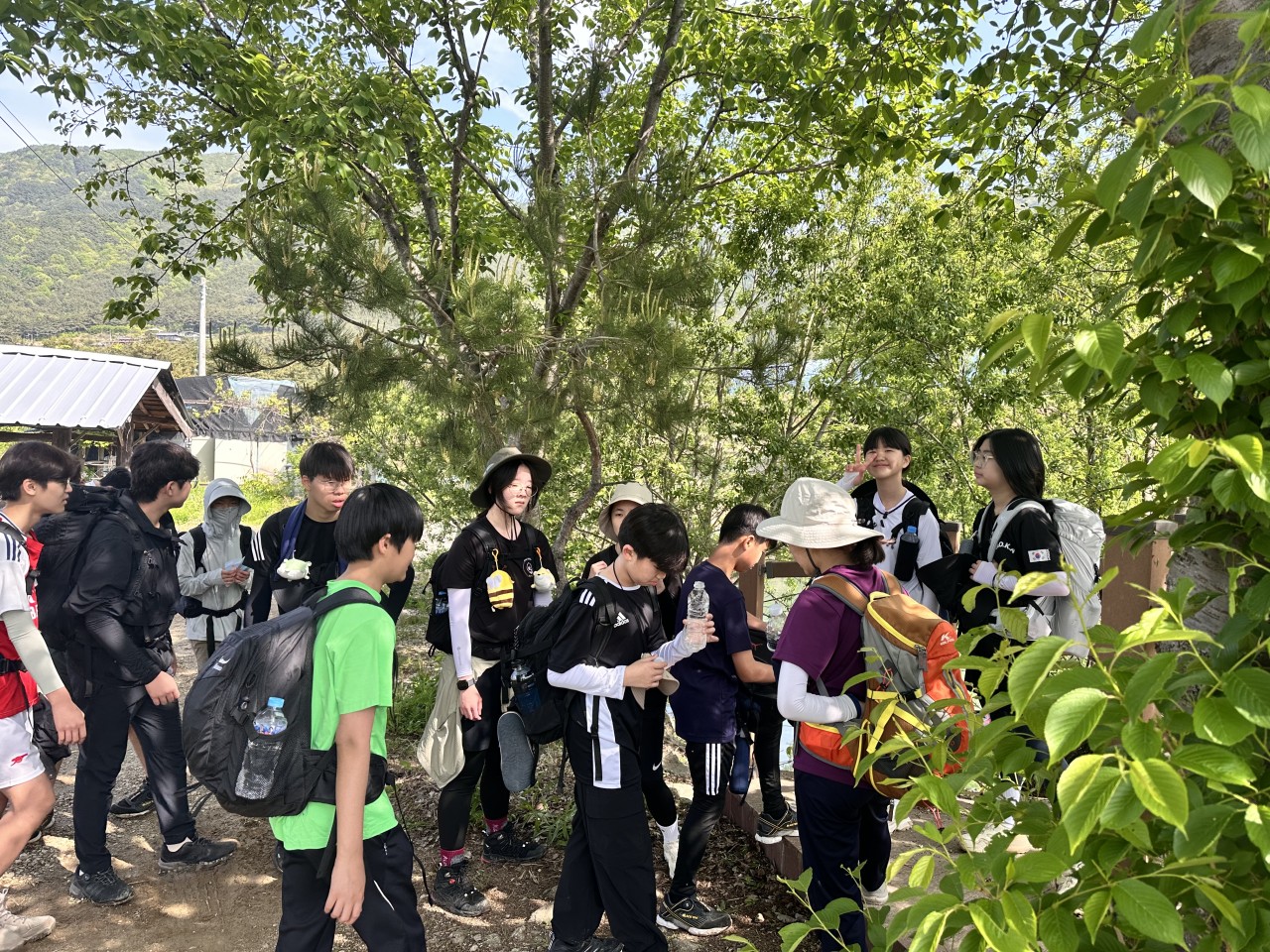 사용자가 올린 이미지