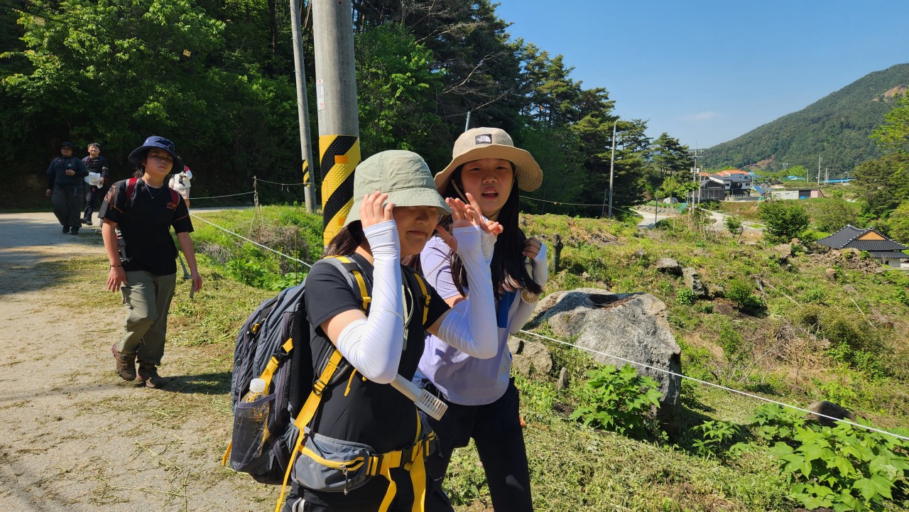 사용자가 올린 이미지