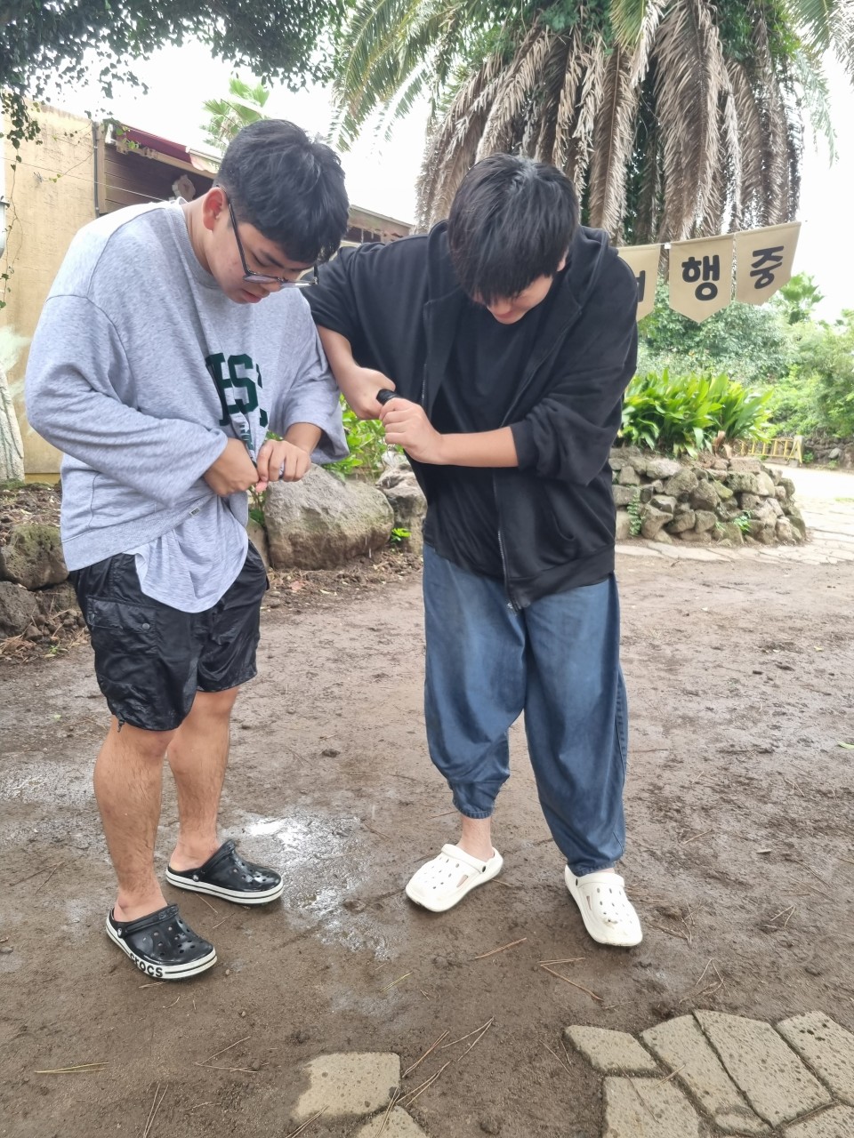 사용자가 올린 이미지