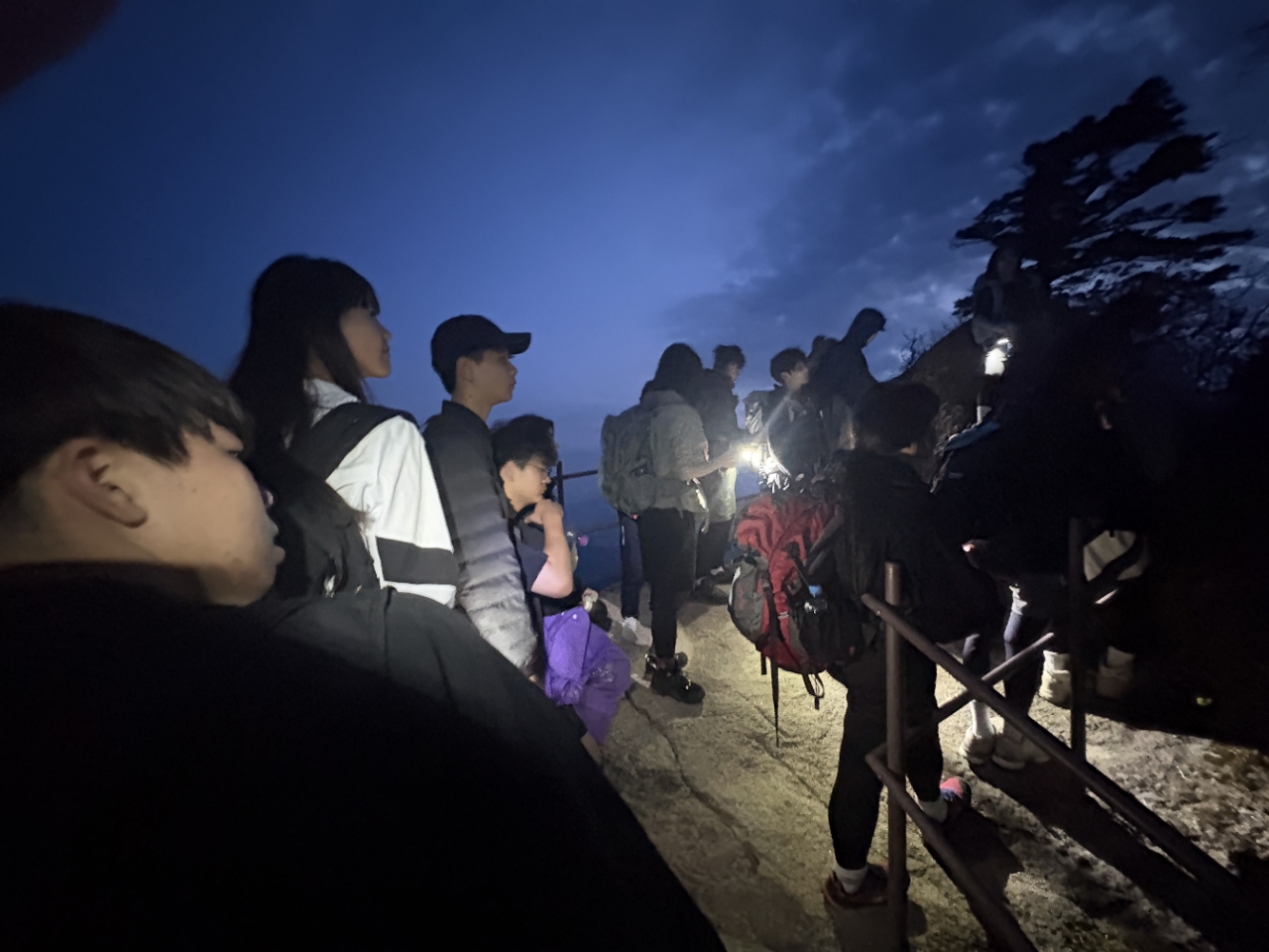 사용자가 올린 이미지