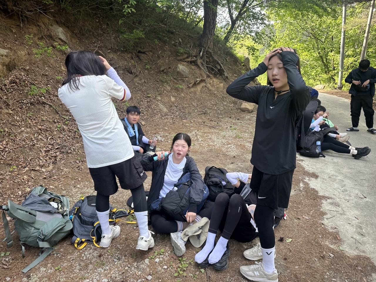 사용자가 올린 이미지