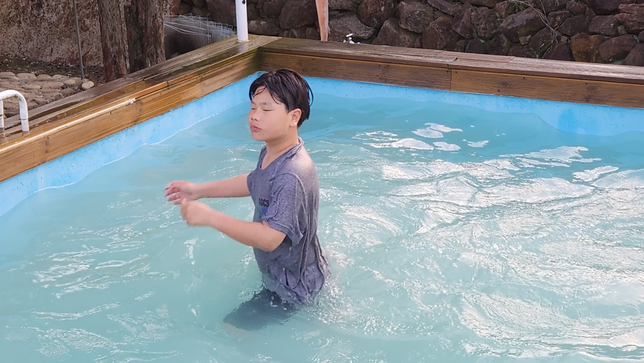 사용자가 올린 이미지
