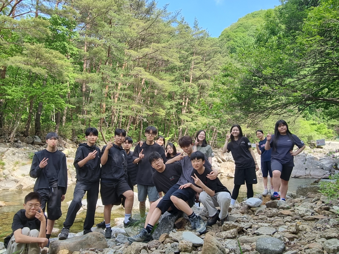 사용자가 올린 이미지