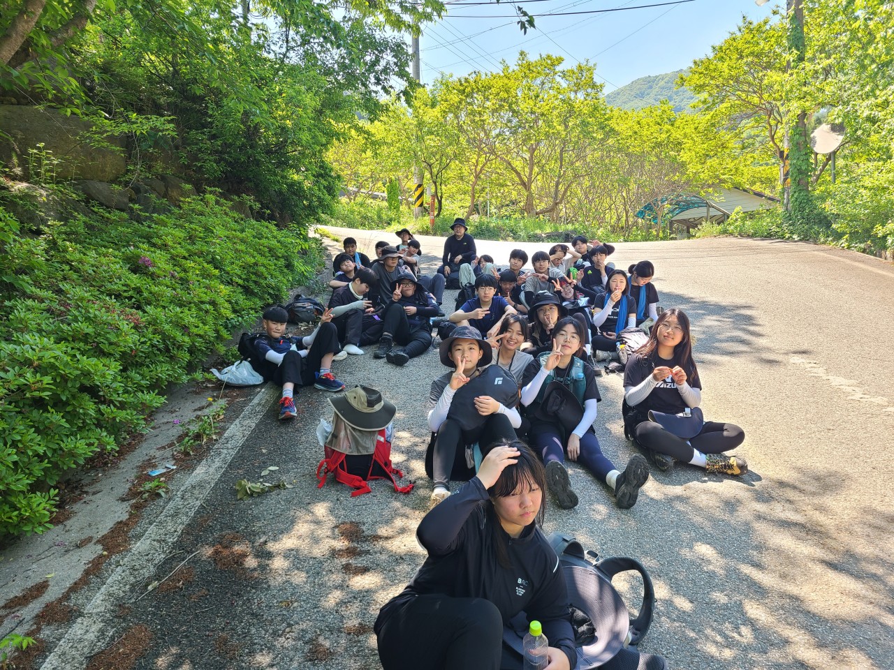 사용자가 올린 이미지
