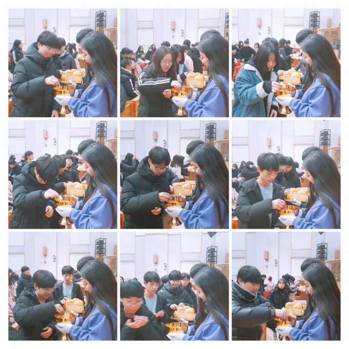 147937D4-B56E-4AEC-A64D-70971D36FB1C-COLLAGE.JPG