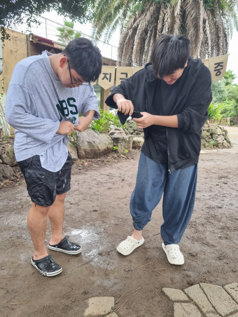 사용자가 올린 이미지