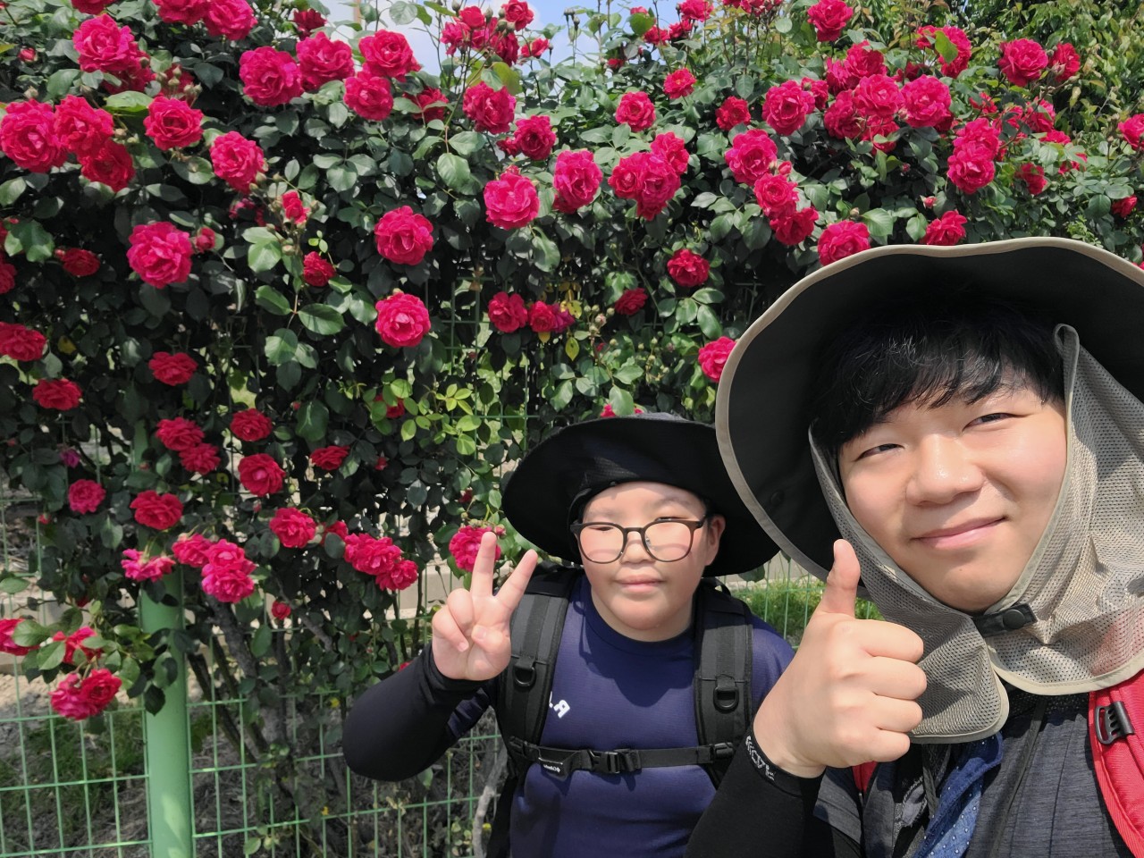 사용자가 올린 이미지