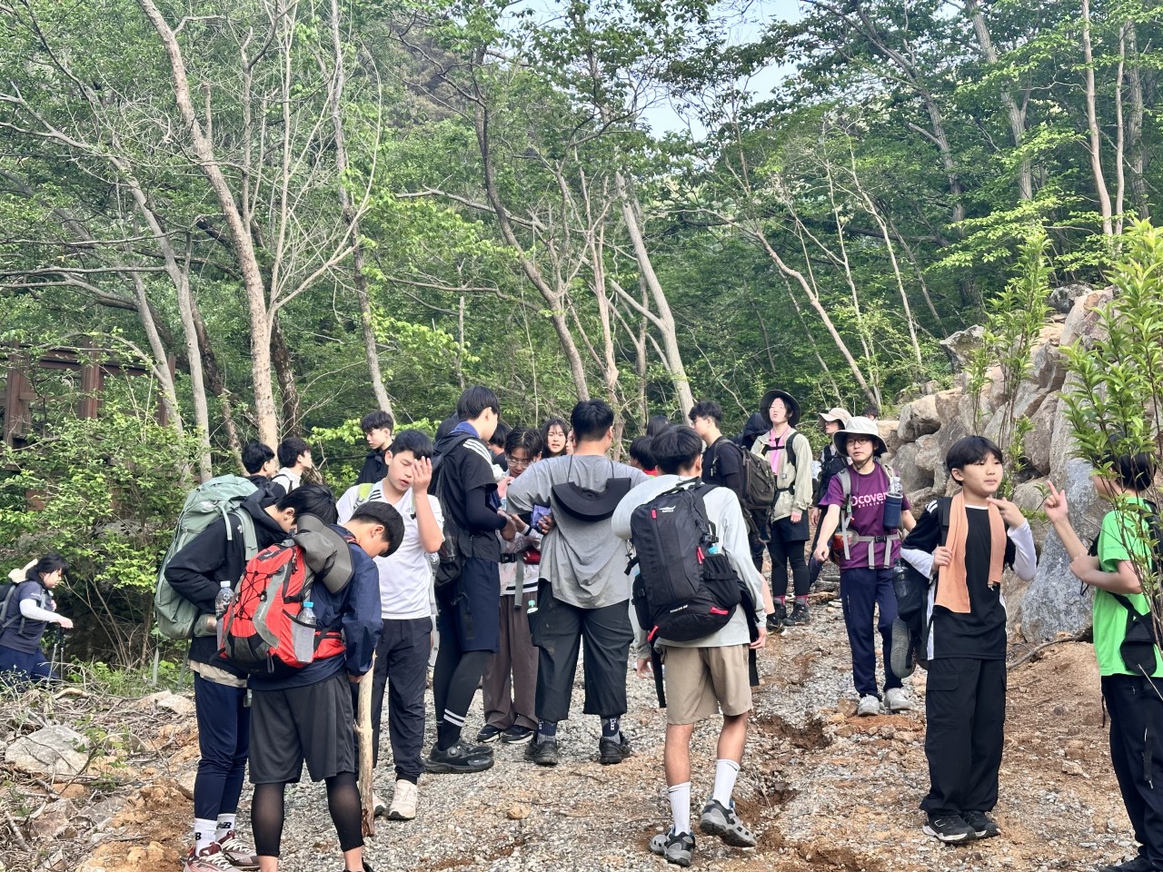 사용자가 올린 이미지