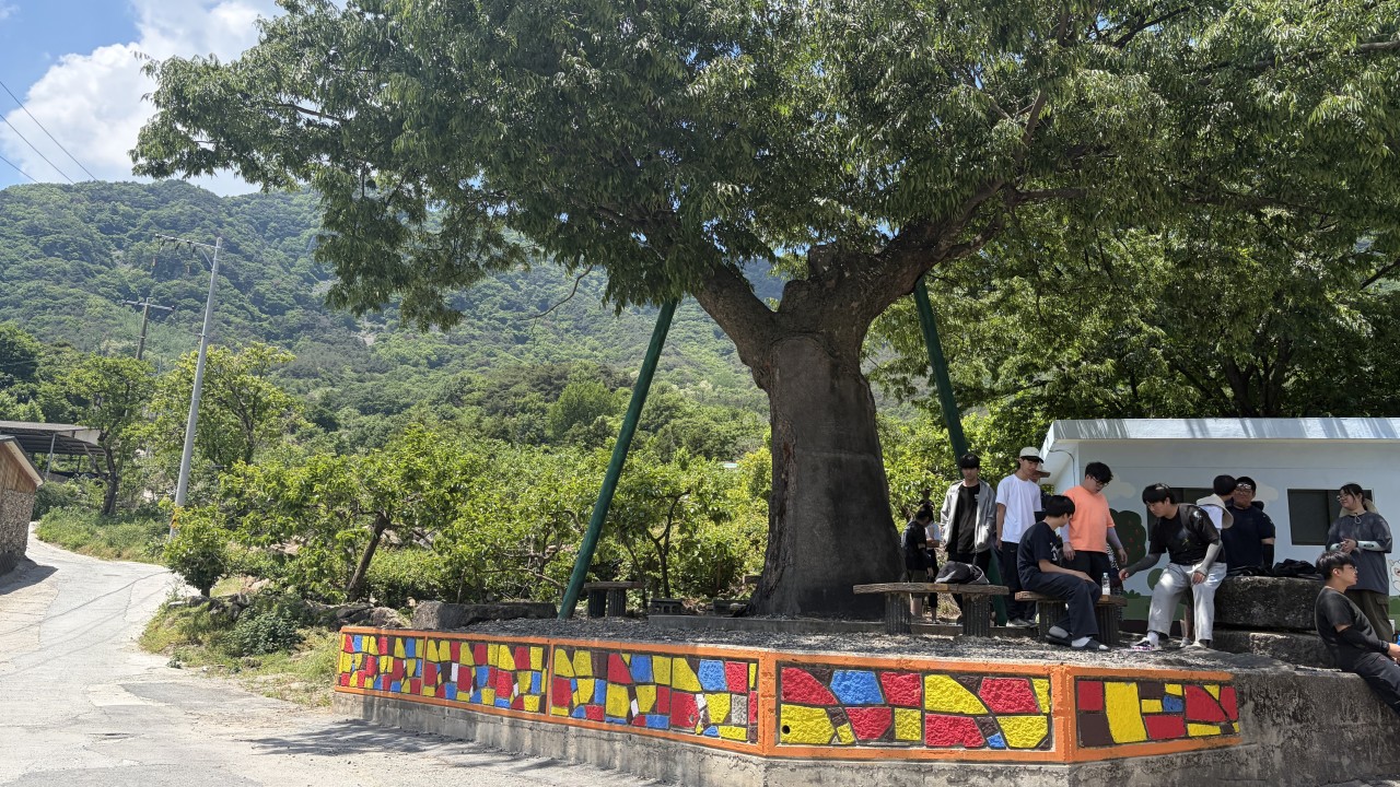 사용자가 올린 이미지