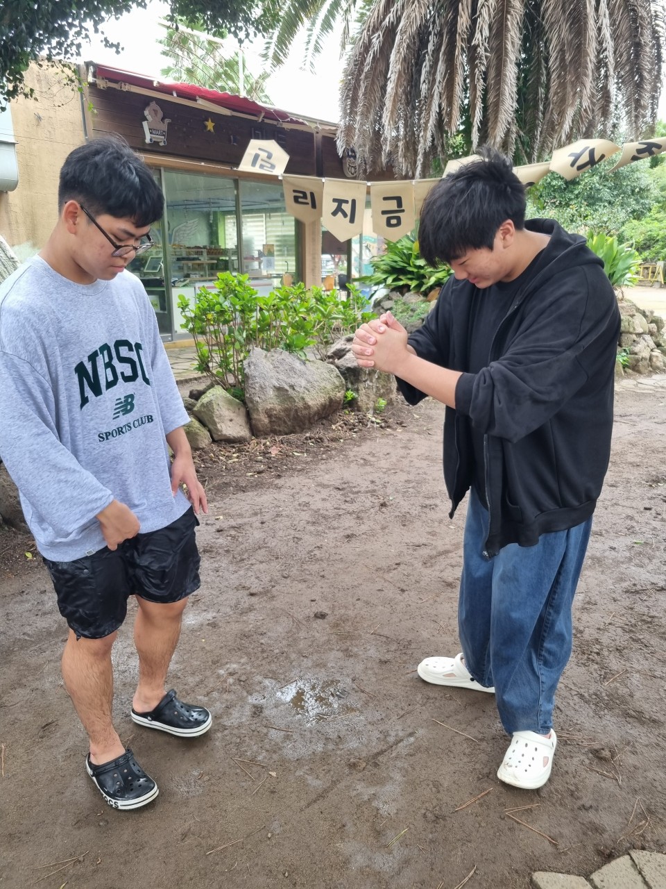 사용자가 올린 이미지